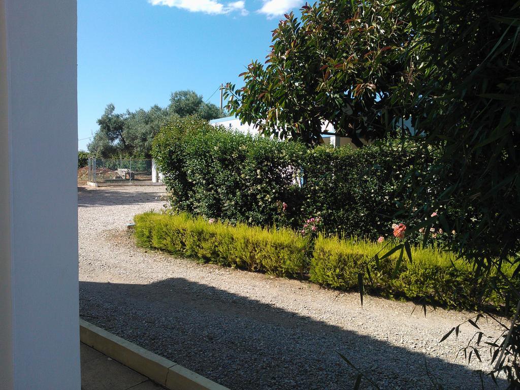Гостевой дом Quinta Da Moura Casa-De-Campo Тавира Экстерьер фото
