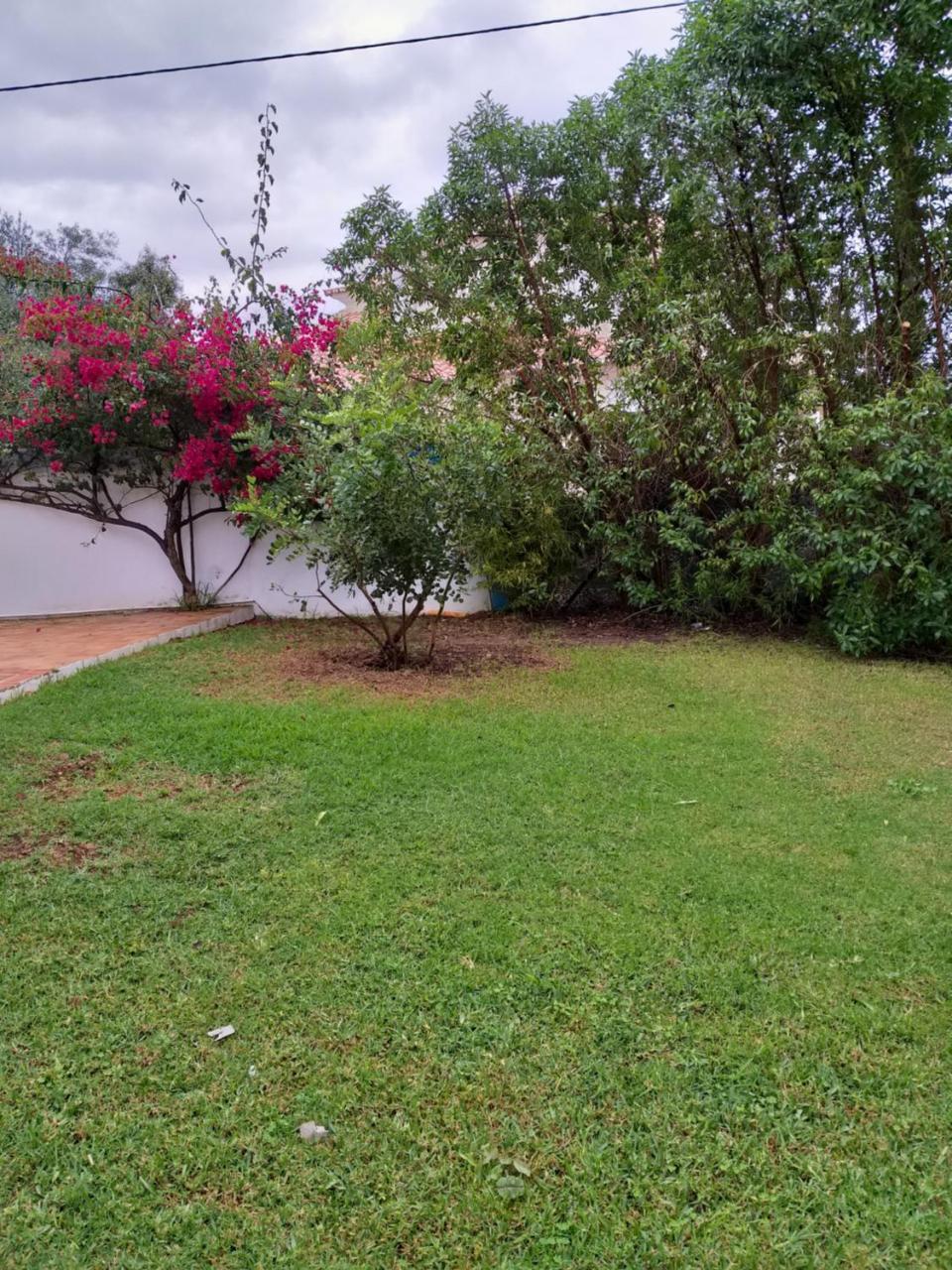 Гостевой дом Quinta Da Moura Casa-De-Campo Тавира Экстерьер фото