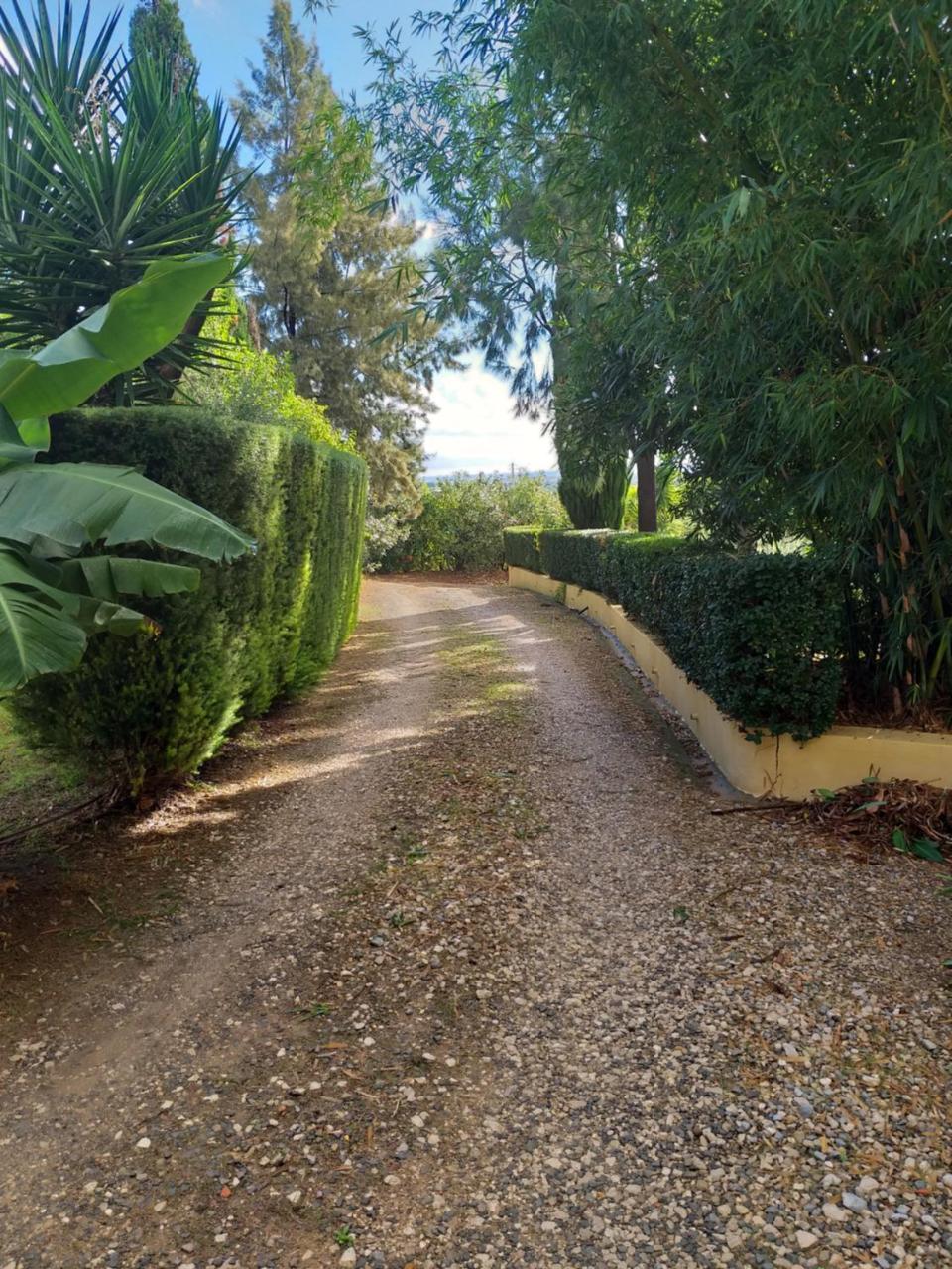 Гостевой дом Quinta Da Moura Casa-De-Campo Тавира Экстерьер фото